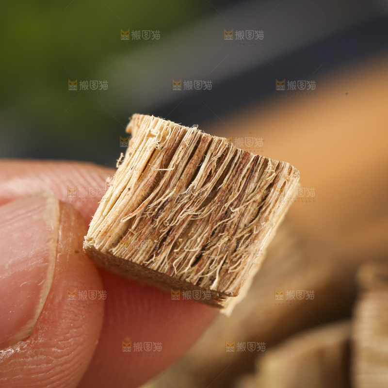 木底上的葛根
