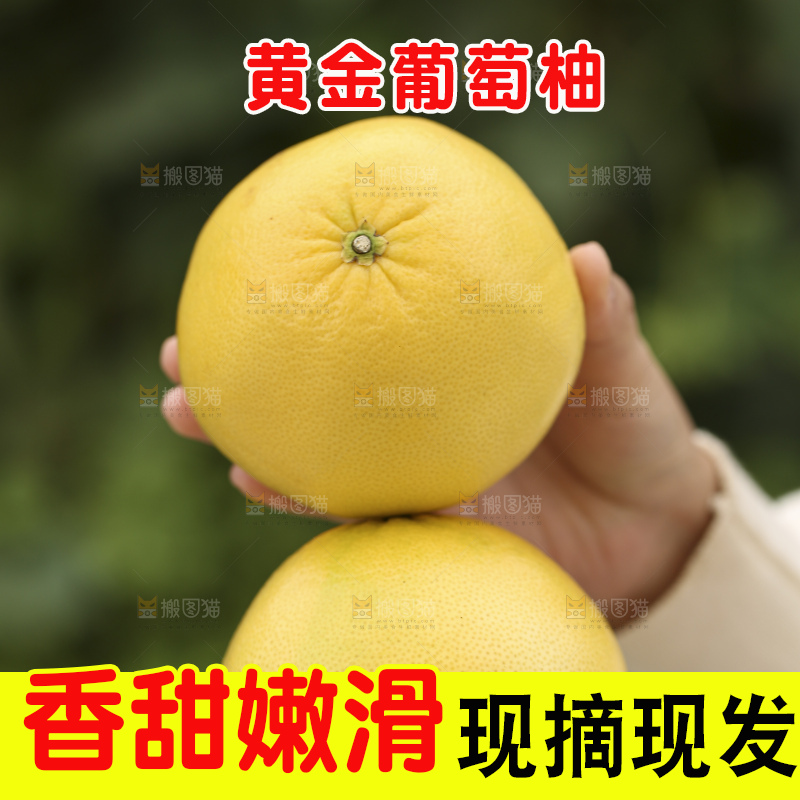 手里拿着黄金葡萄柚