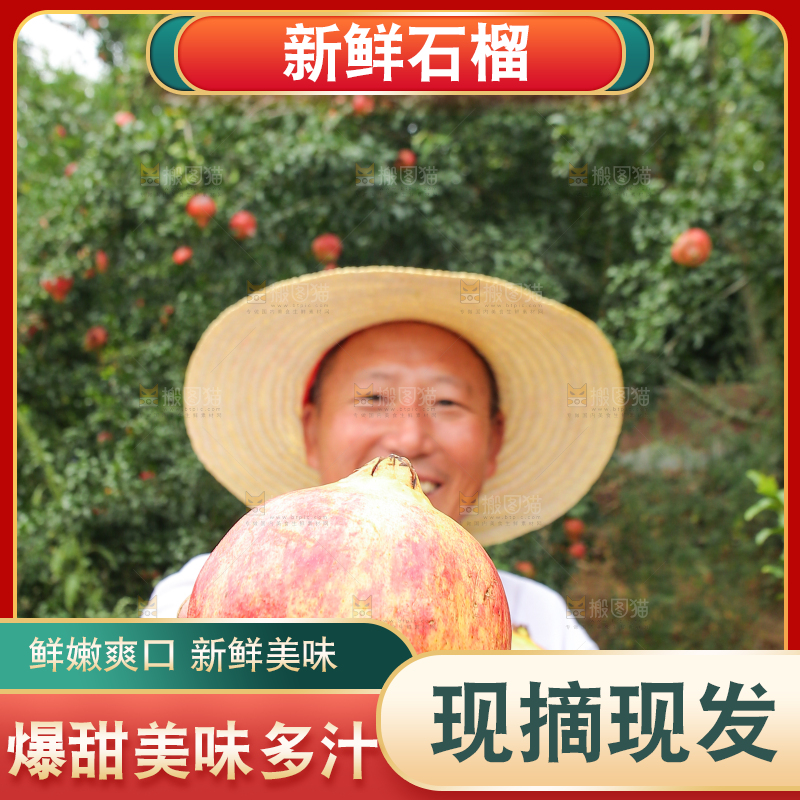 石榴产地