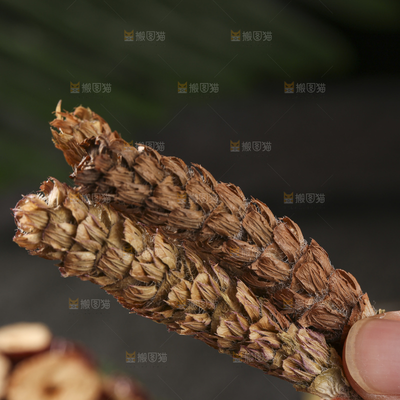木底上的夏枯草