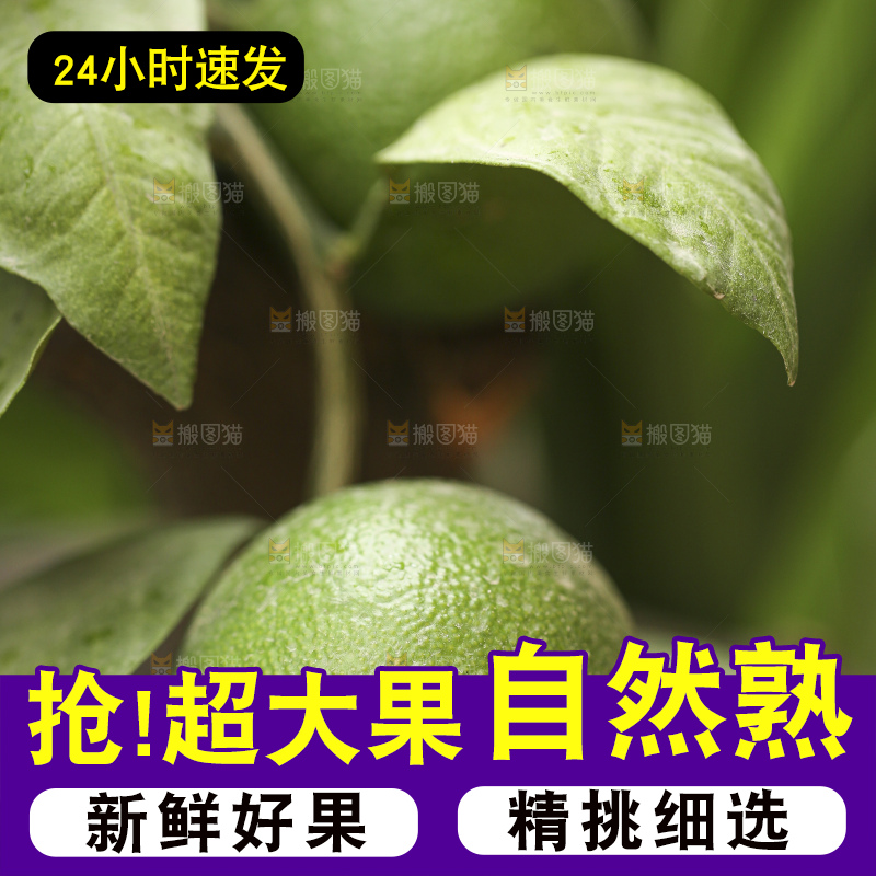 户外的青橘