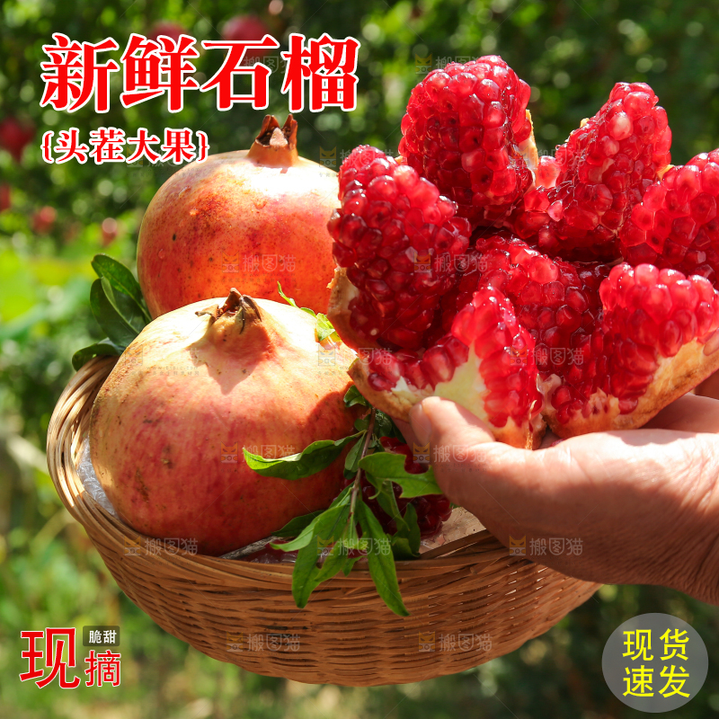 石榴产地