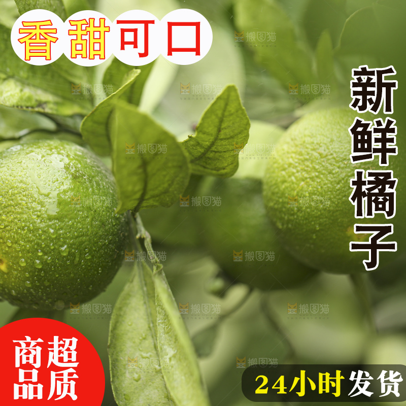户外的青橘