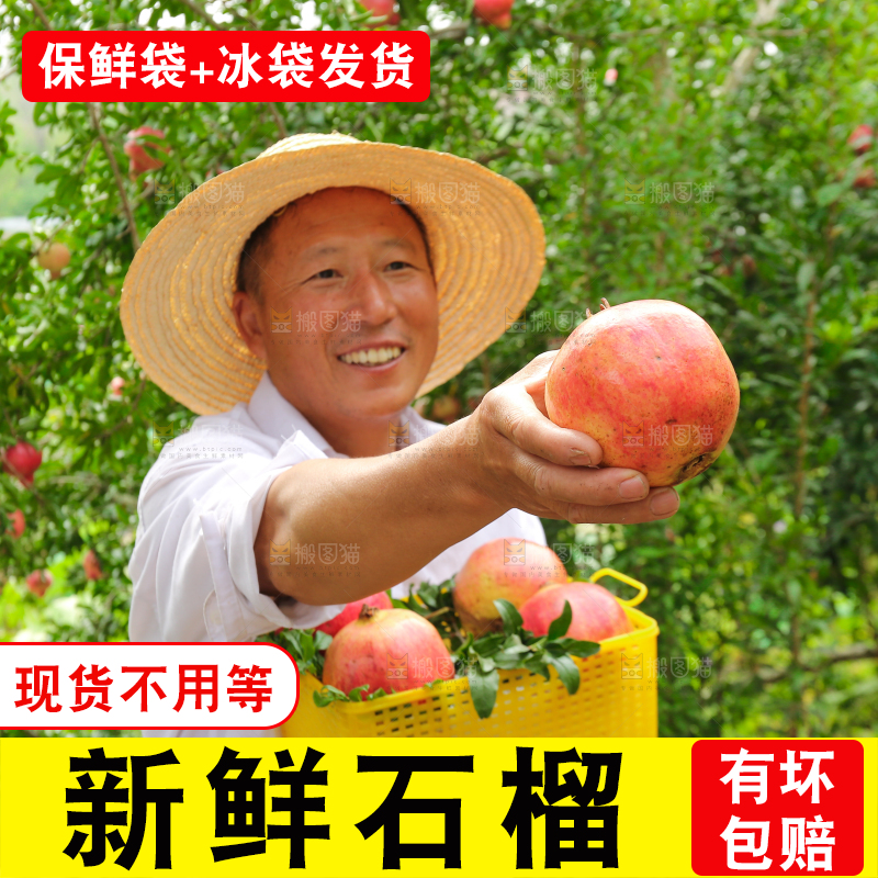 石榴产地