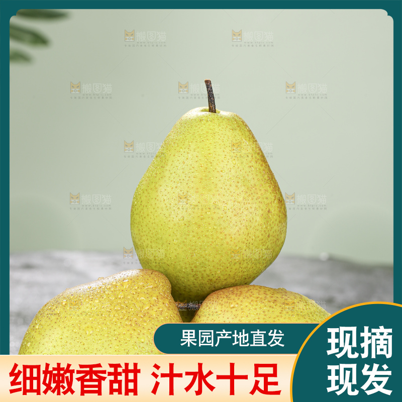 深底上放着红香酥梨