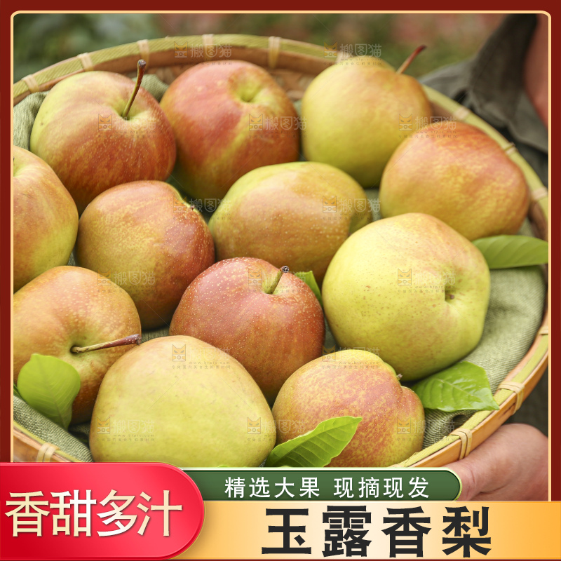 手里拿着玉露香梨
