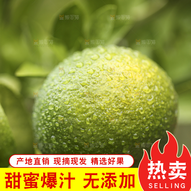 户外的青橘