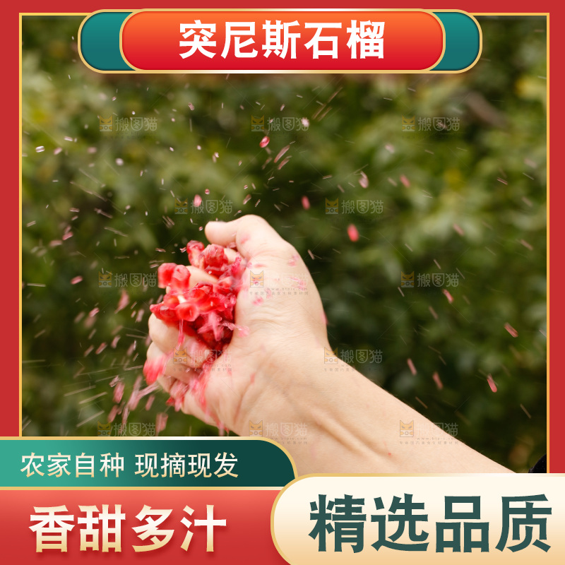 手里的突尼斯软籽石榴爆汁