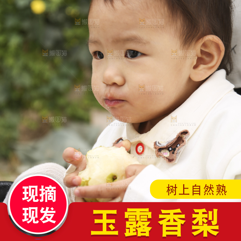 手里拿着玉露香梨