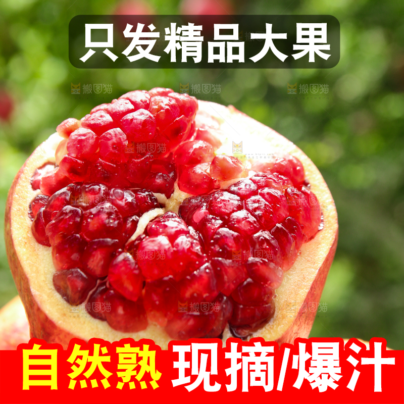 石榴产地