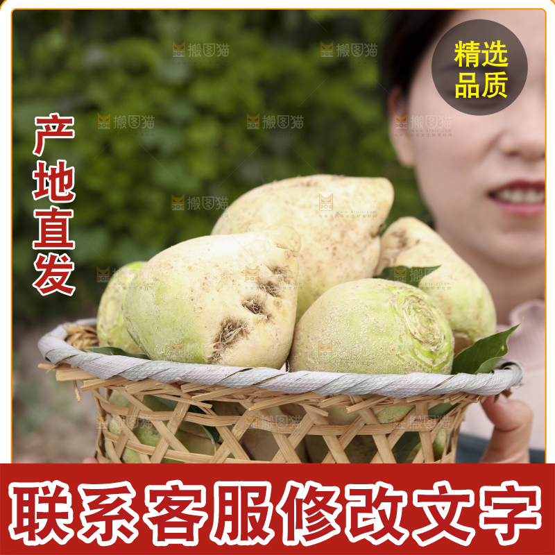 手里拿着大头芥菜