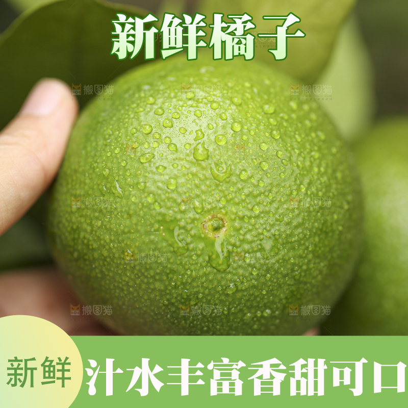 户外的青橘