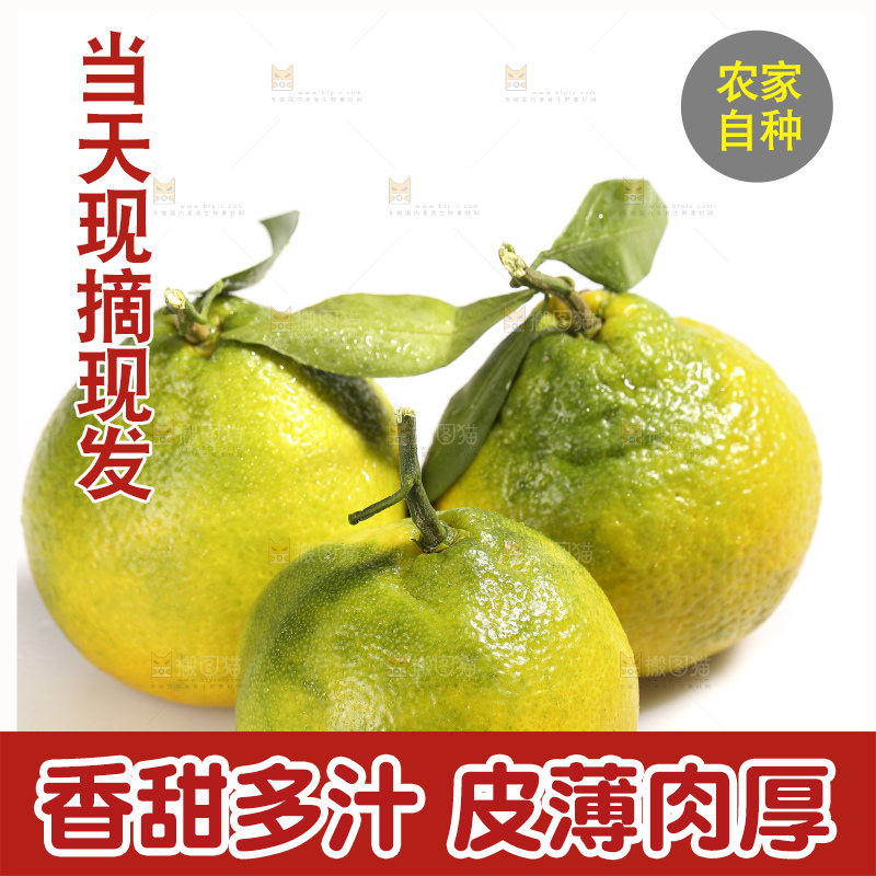 白底上放着的青皮丑橘