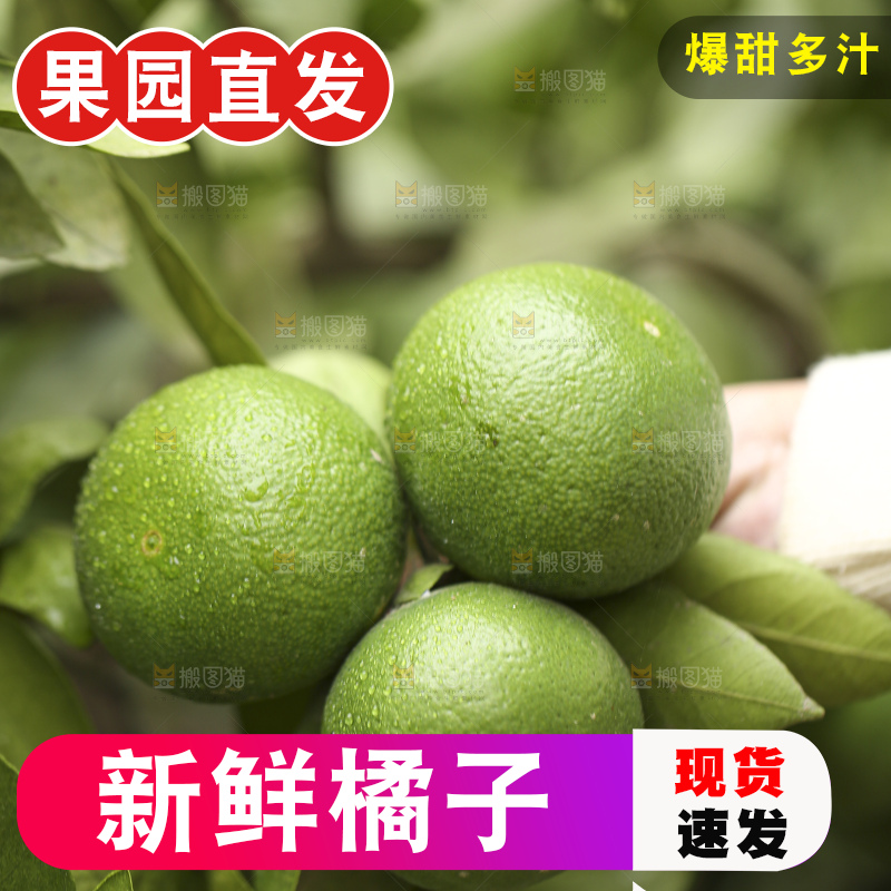 户外的青橘