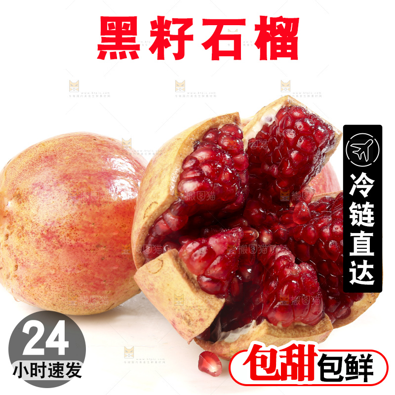 白底上的突尼斯软籽石榴