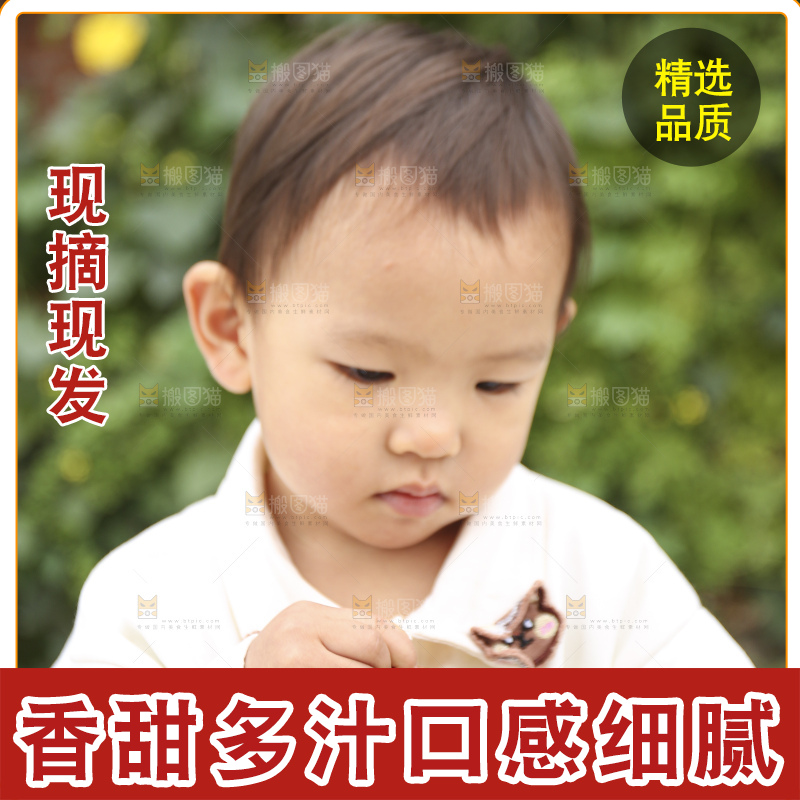 手里拿着玉露香梨