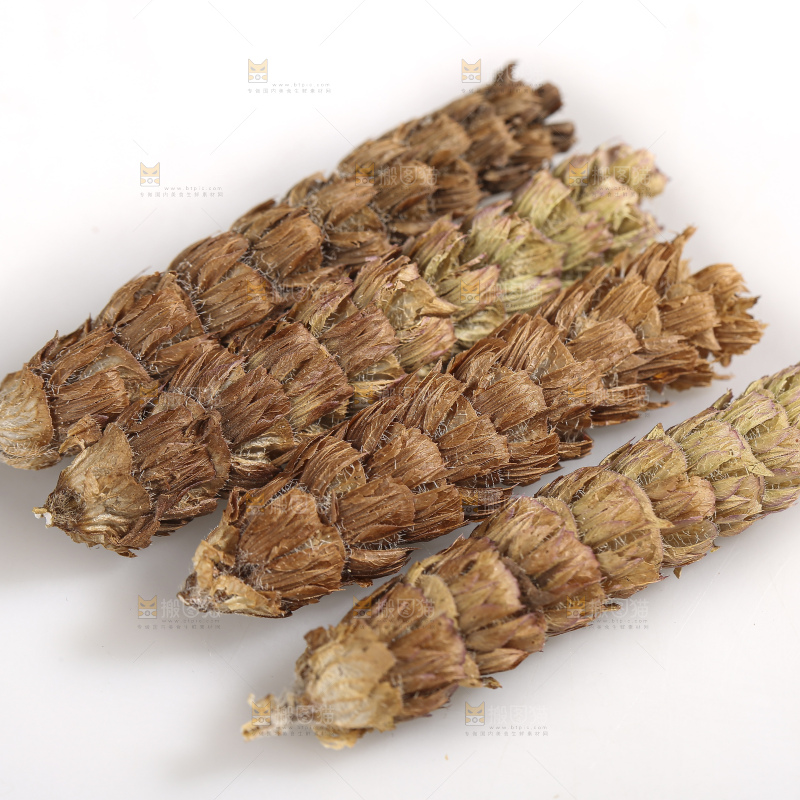 白底上放着夏枯草