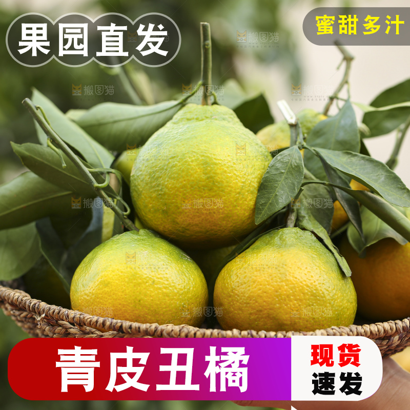 深底上的青皮丑橘