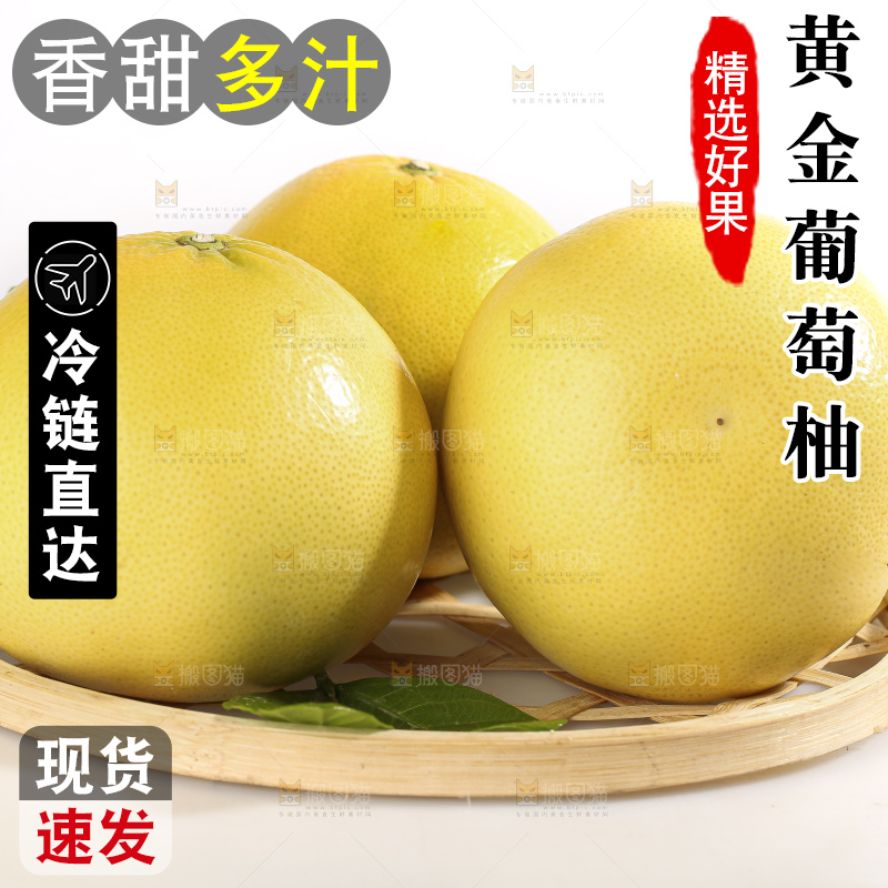 白底上的黄金葡萄柚