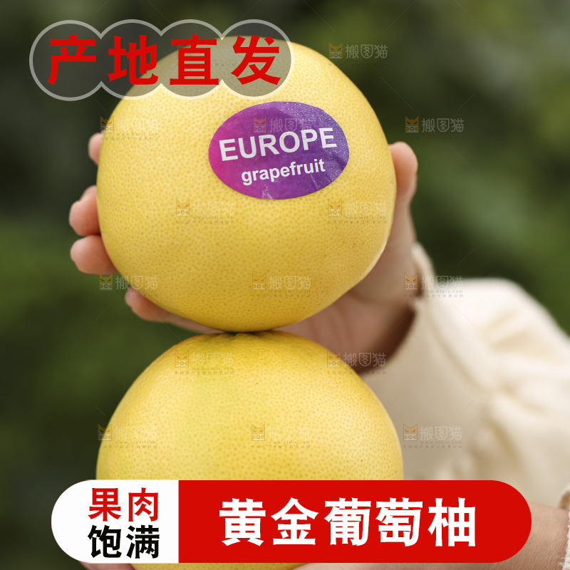 手里拿着黄金葡萄柚