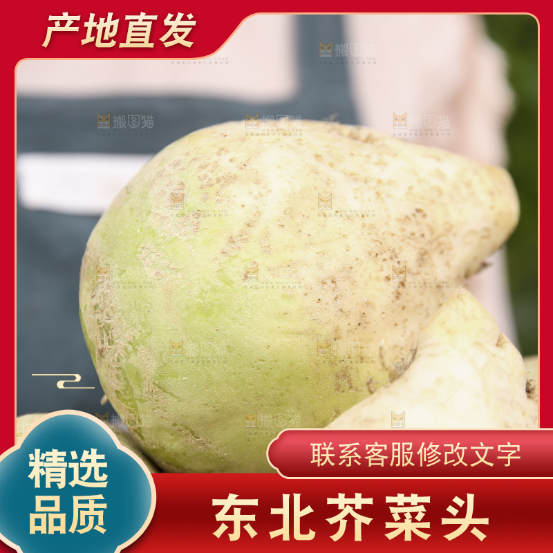 手里拿着大头芥菜