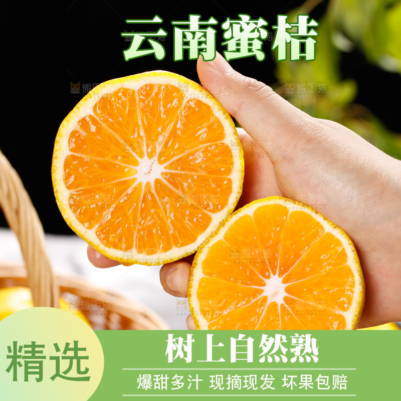 深底上的宜昌蜜桔