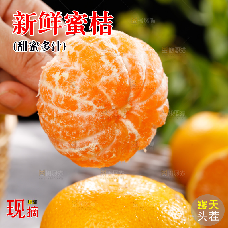 深底上的宜昌蜜桔