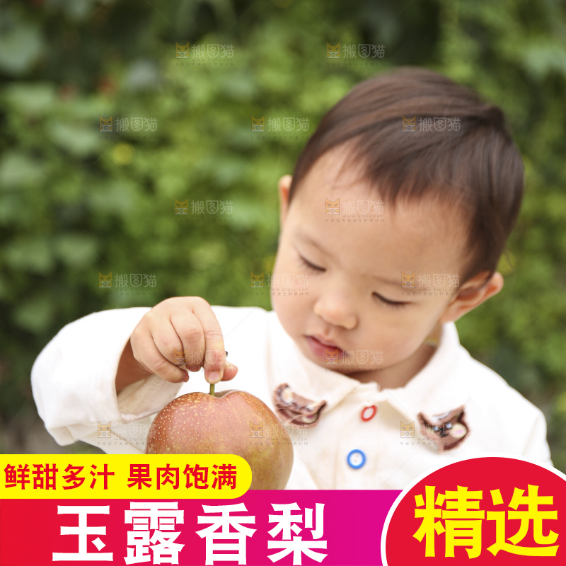 手里拿着玉露香梨