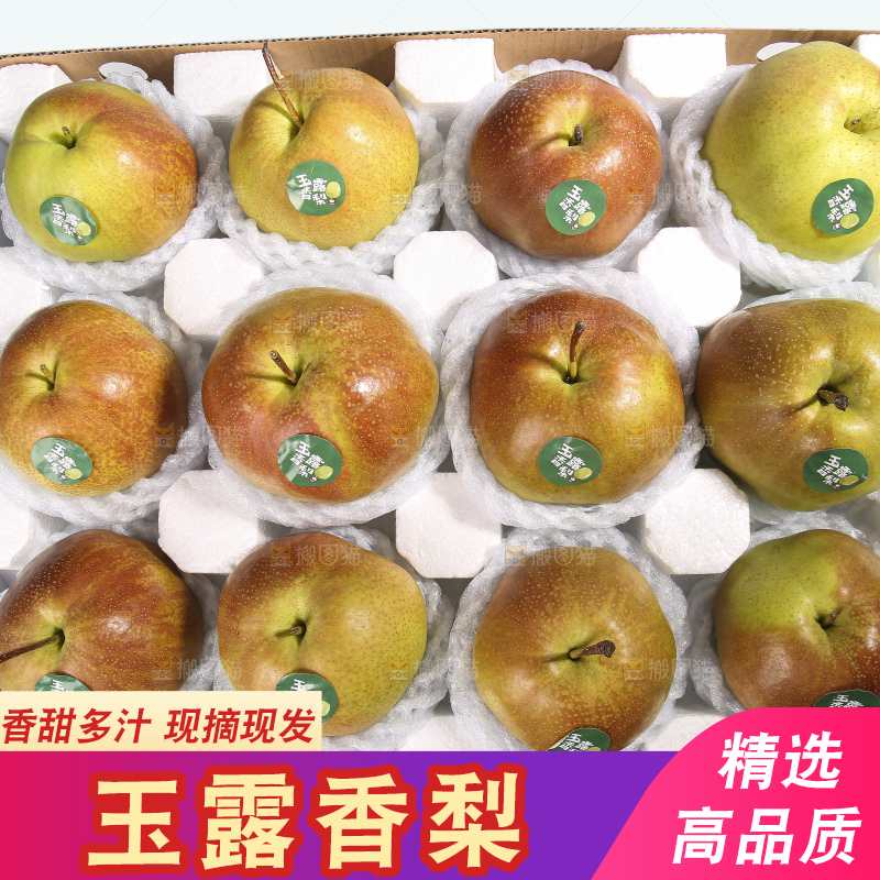 白底上的玉露香梨