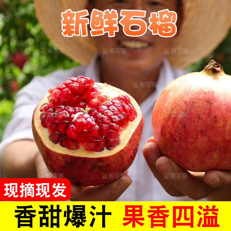石榴产地