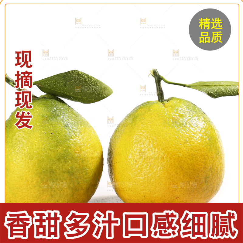 白底上放着的青皮丑橘