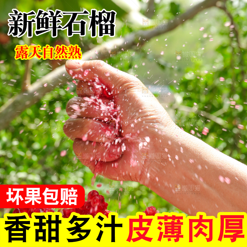 石榴产地