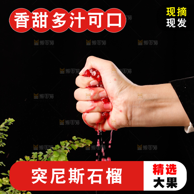 手里的突尼斯软籽石榴爆汁