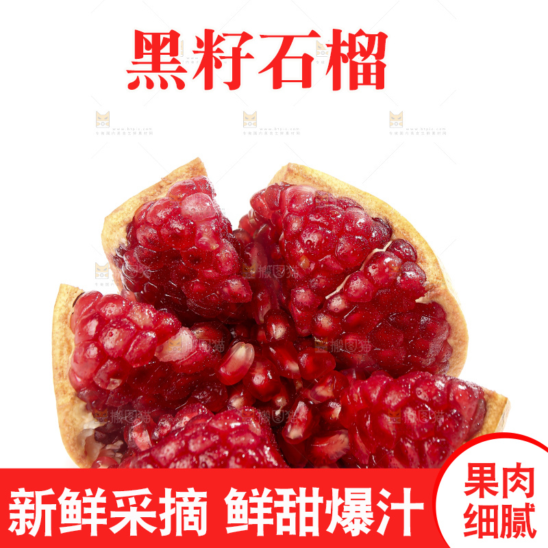 白底上的突尼斯软籽石榴