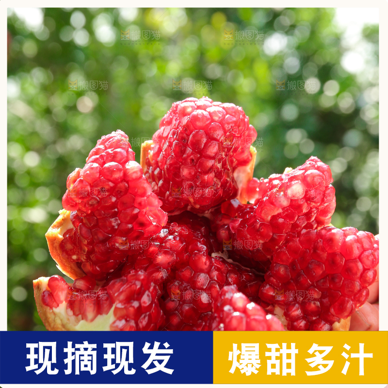 石榴产地