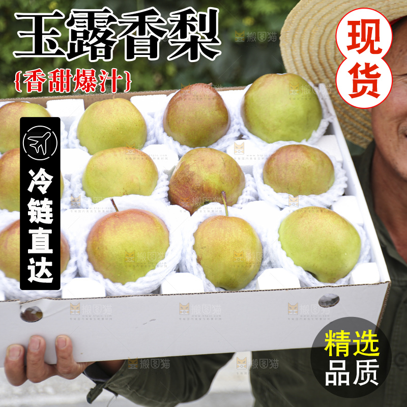 手里拿着玉露香梨