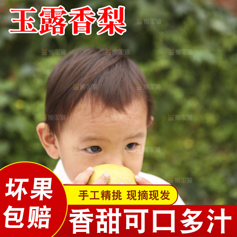 手里拿着玉露香梨