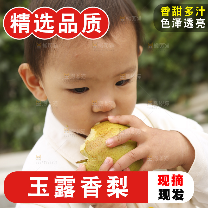 手里拿着玉露香梨