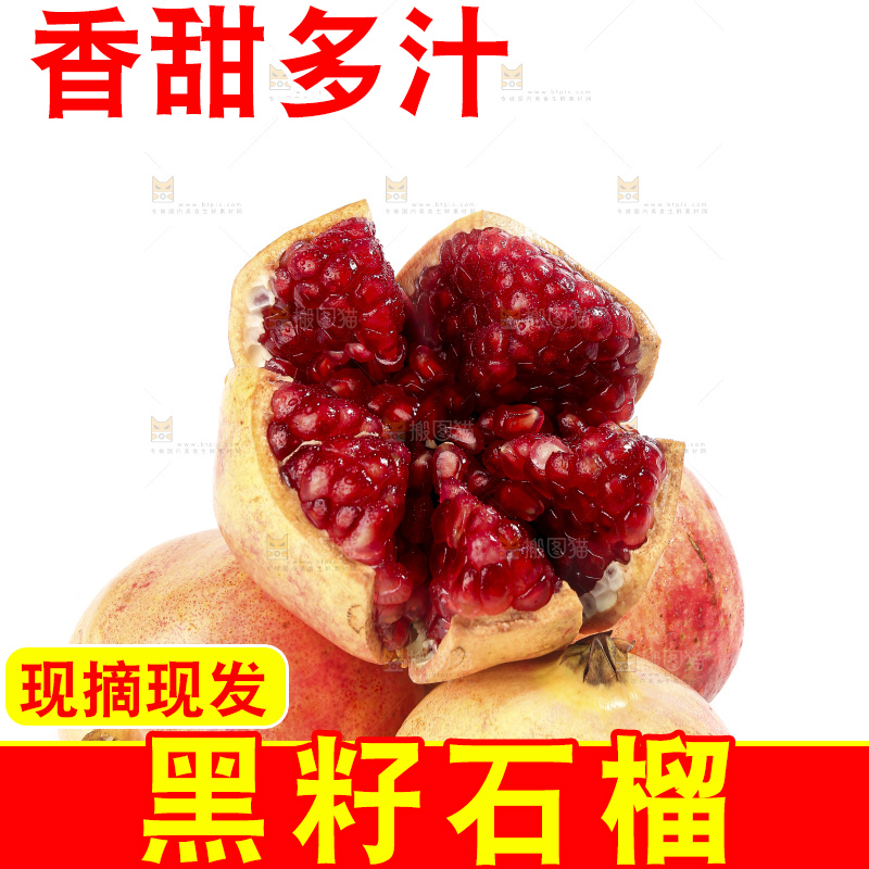 白底上的突尼斯软籽石榴