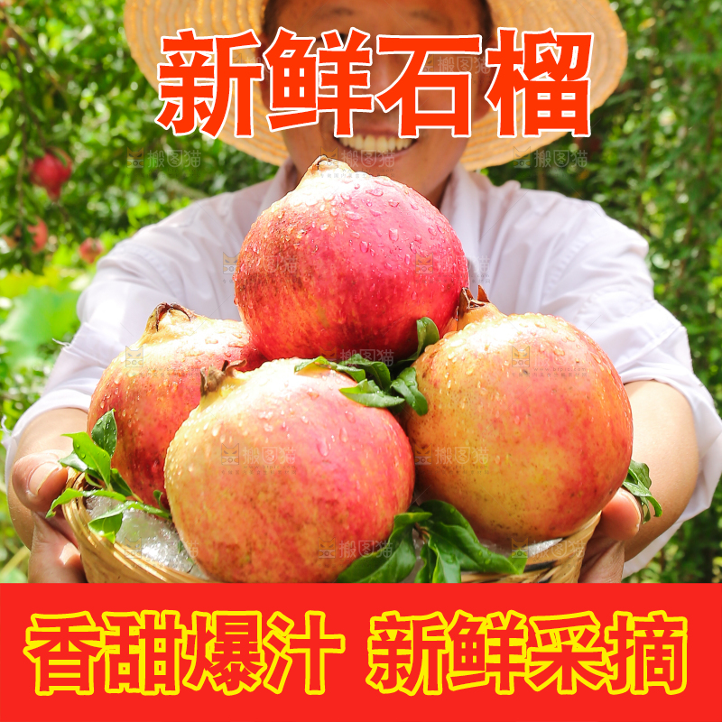 石榴产地