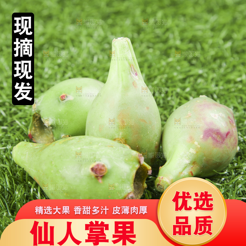 海南仙人掌果放在草地上