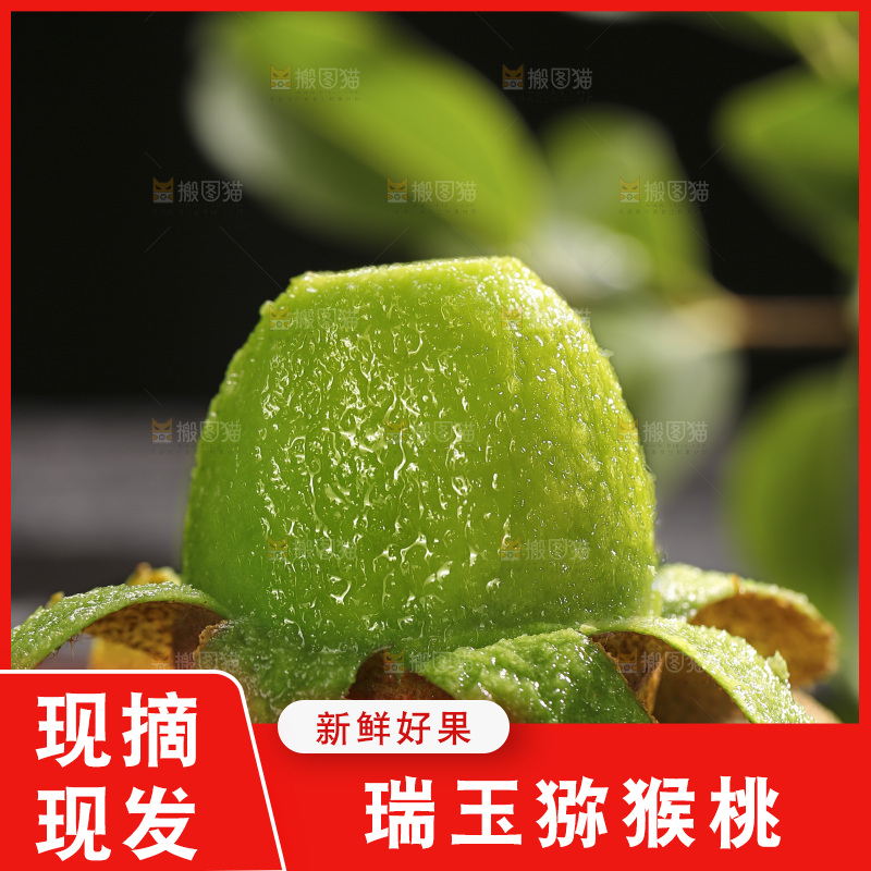 深底上的瑞玉猕猴桃