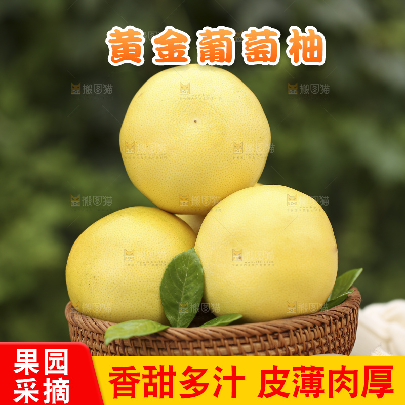 手里拿着黄金葡萄柚