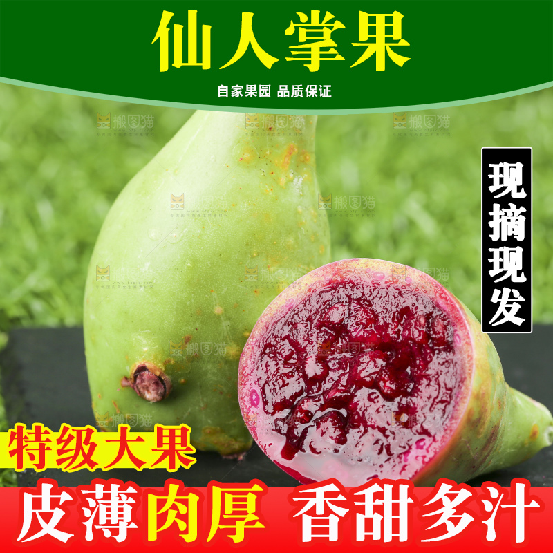 黑石板上放着仙人掌果
