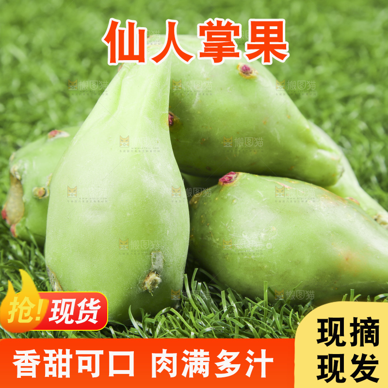 海南仙人掌果放在草地上