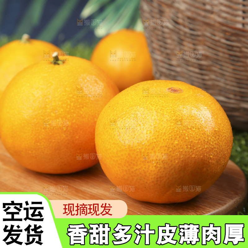 草地上的果冻橙