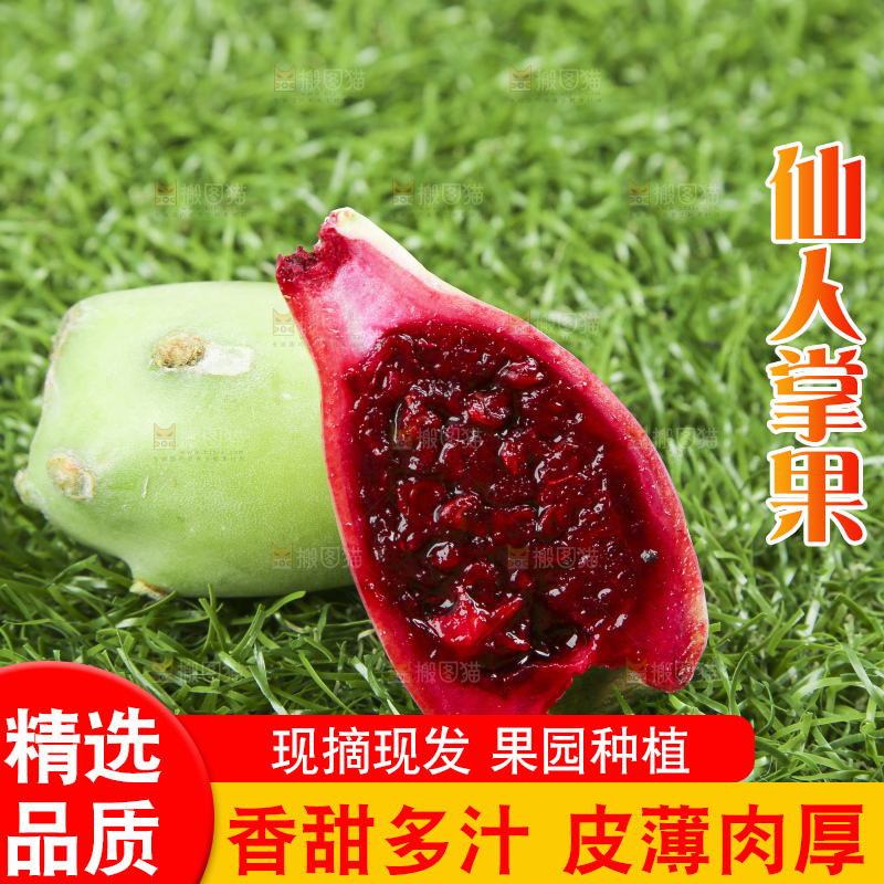 草地上放着切开的红肉仙人掌果