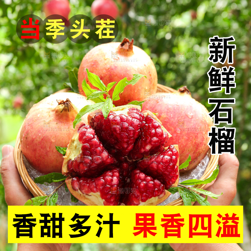石榴产地