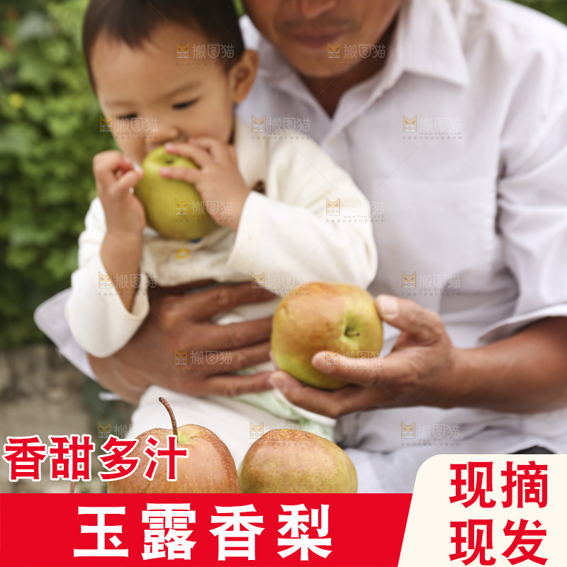 手里拿着玉露香梨
