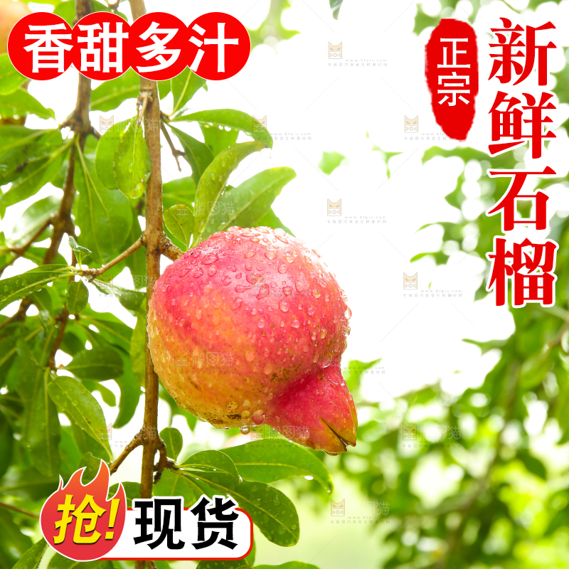 石榴产地